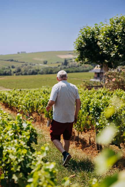 From Lyon: Beaujolais Wine Route Half-Day Tour - Vineyard villages on the drive: Fleurie, Morgon, and Moulin à Vent