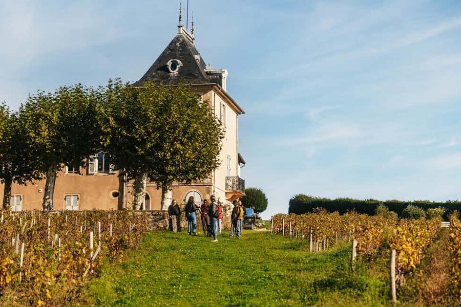 From Lyon: Beaujolais Wine Tour with Tastings - Why Gamay is the star, and how terroir changes the story