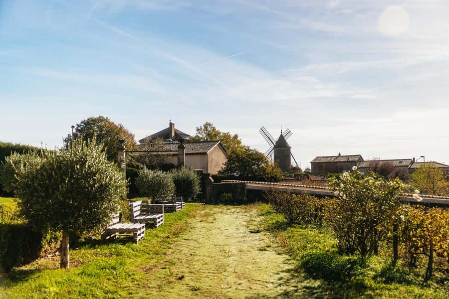 From Lyon: Beaujolais Wine Tour with Tastings - The guide and driver setup, and how it affects your day