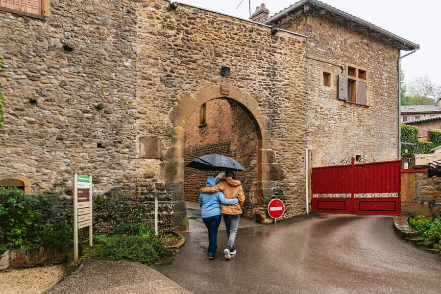 From Lyon: Golden Stones Beaujolais Wine Tasting Tour - The Family Winery Stop: Where the Real Craft Shows Up
