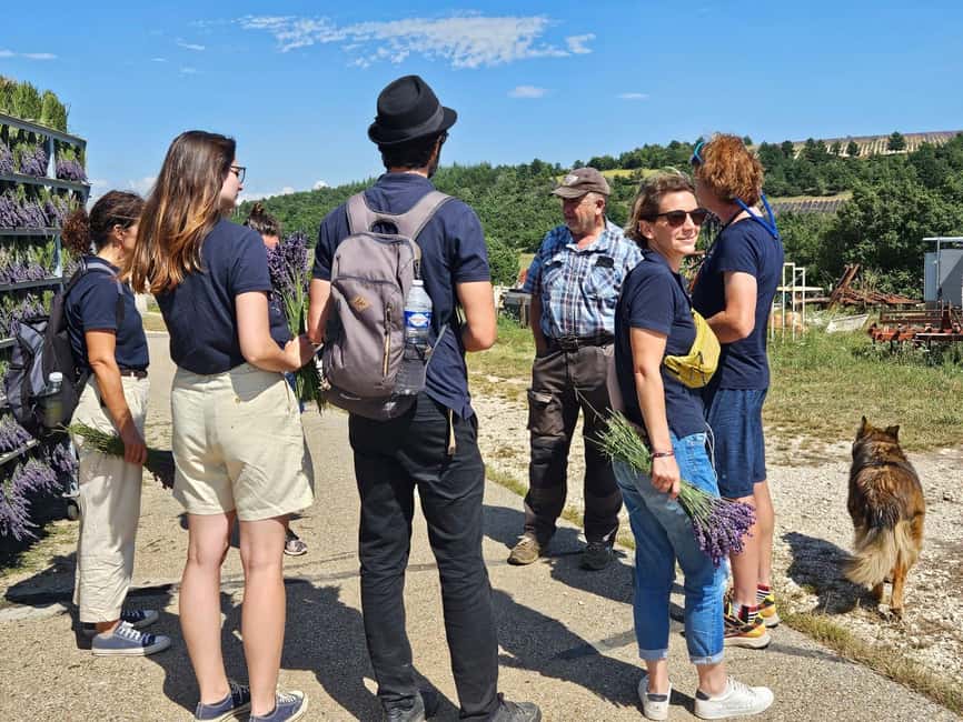 From Marseille: Lavender Full-Day Trip to Sault - Price and Value for a 10-Hour, Small-Group Day