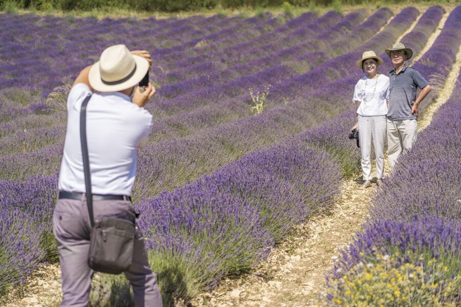 From Marseille: Valensole Lavenders Tour from Cruise Port - What you learn about lavender quality and everyday uses