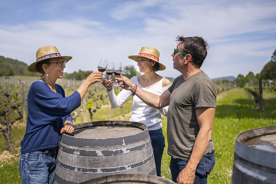 From Montpellier: Half-Day Vineyard & Pic Saint-Loup Tour - Two estates in one outing: why that comparison matters