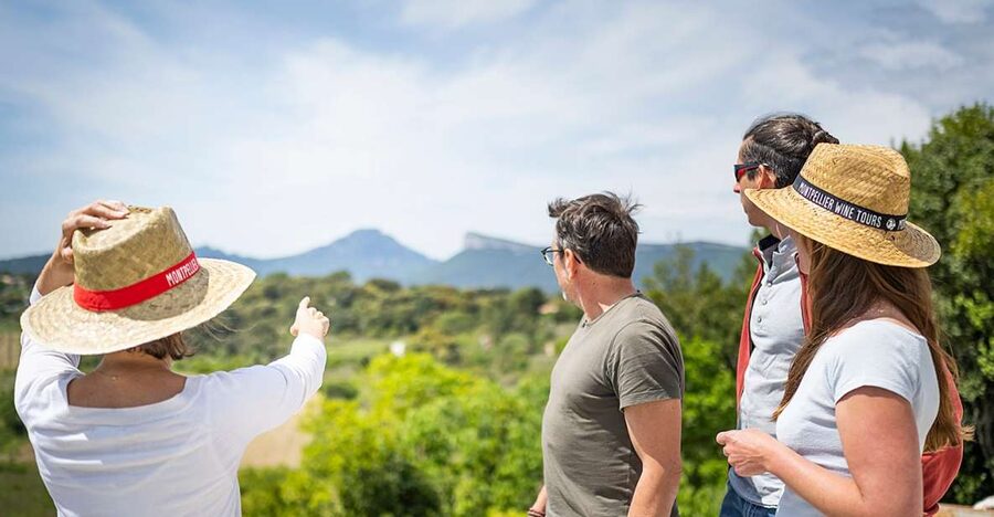 From Montpellier: Half-Day Vineyard & Pic Saint-Loup Tour - Price and logistics: is $93 for 4 hours worth it?