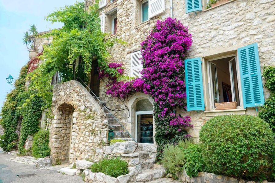 From Nice: Cannes, Antibes & St Paul de Vence Half-Day Tour - Who this tour fits best in real life