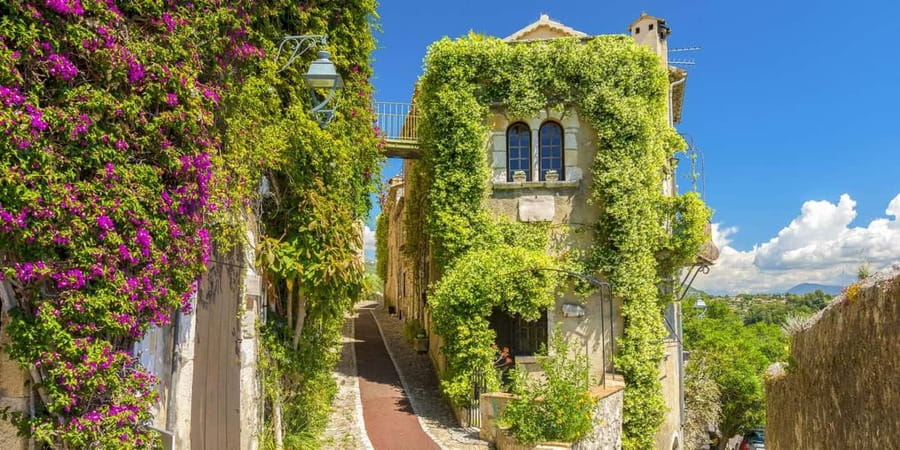 From Nice: Cannes, Saint Paul de Vence and Wine Tasting - Cannes on La Croisette and the Film Festival Red Carpet Walk
