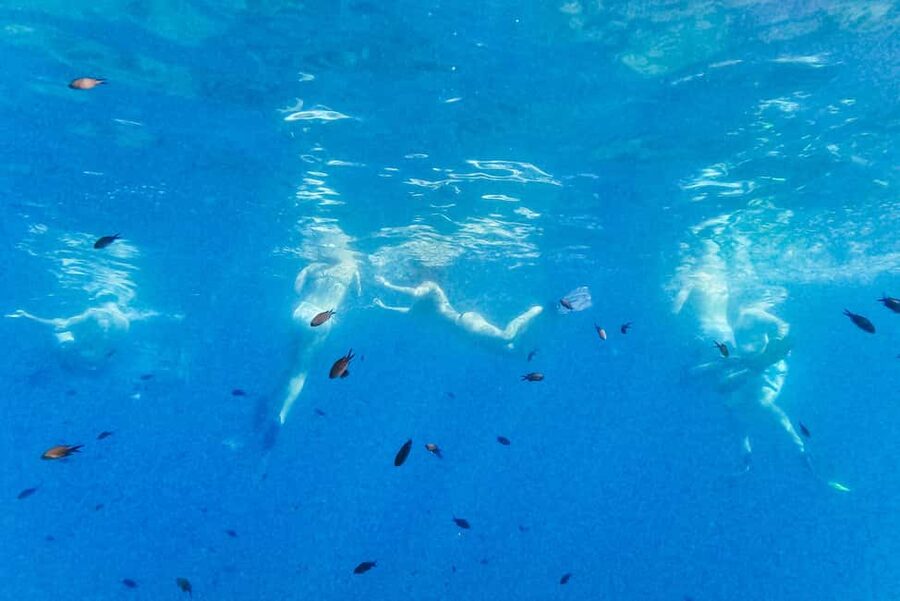 From Nice: French Riviera Swimming and Snorkeling Cruise - Who this cruise fits best (and who should skip it)