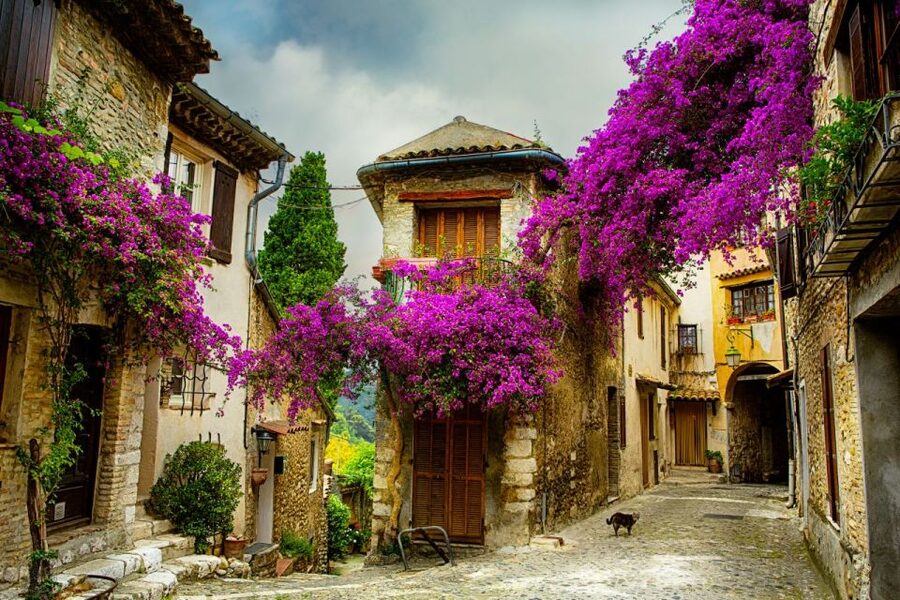 From Nice: Provence and its Medieval Villages Full-Day Tour - The Smart Value of This Provence Route From Nice