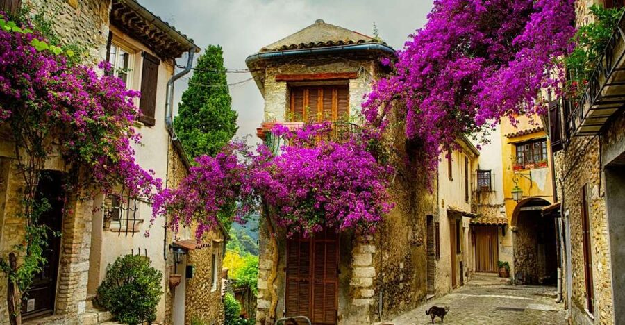 From Nice: Provence and its Medieval Villages Full-Day Tour - Grasse: Perfume Capital, Fragonard or the Old Town