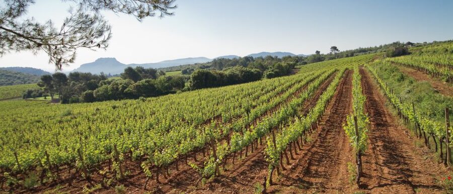 From Nice: Provence Wine Full-Day Tour - Key highlights worth your time