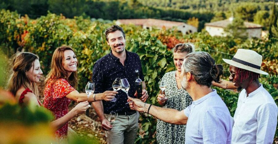 From Nice: Provence Wine Full-Day Tour - How to get the most from the day (and not just the wine)