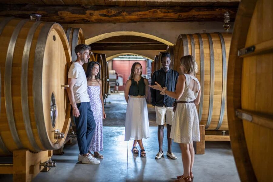 From Nice: Provence Wine Full-Day Tour - From Nice to Côtes de Provence: fast, comfy, and well-paced