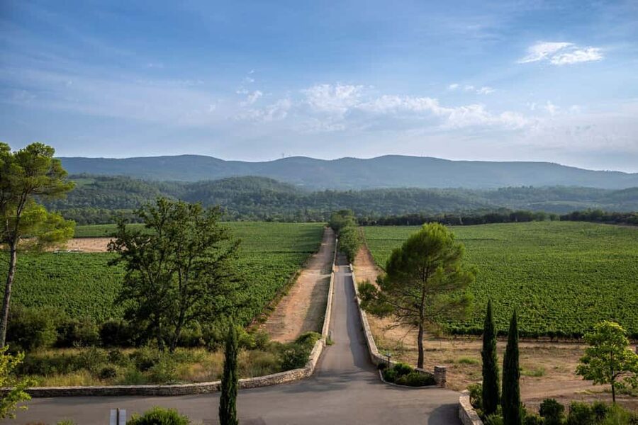 From Nice: Provence Wine Full-Day Tour - Stop 2: four generations of family ownership and a terrace tasting practice session