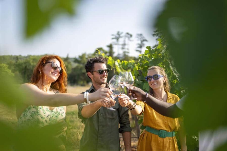 From Nice: Provence Wine Full-Day Tour - Stop 3: organic-certified award-winning wines, gardens, and cellar beauty