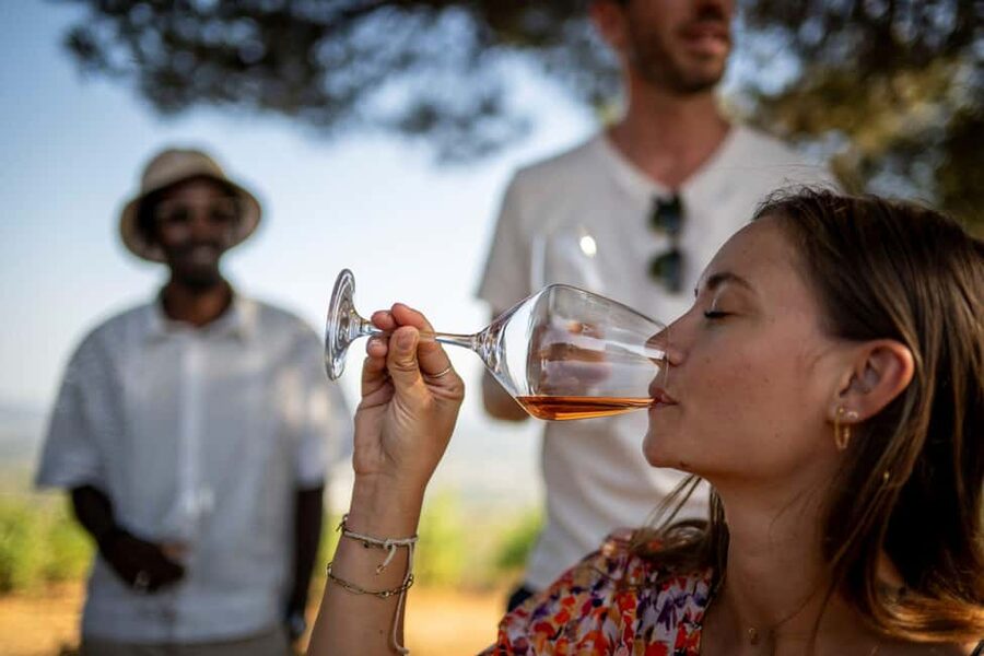 From Nice: Provence Wine Full-Day Tour - The small-group factor: why max 8 really matters