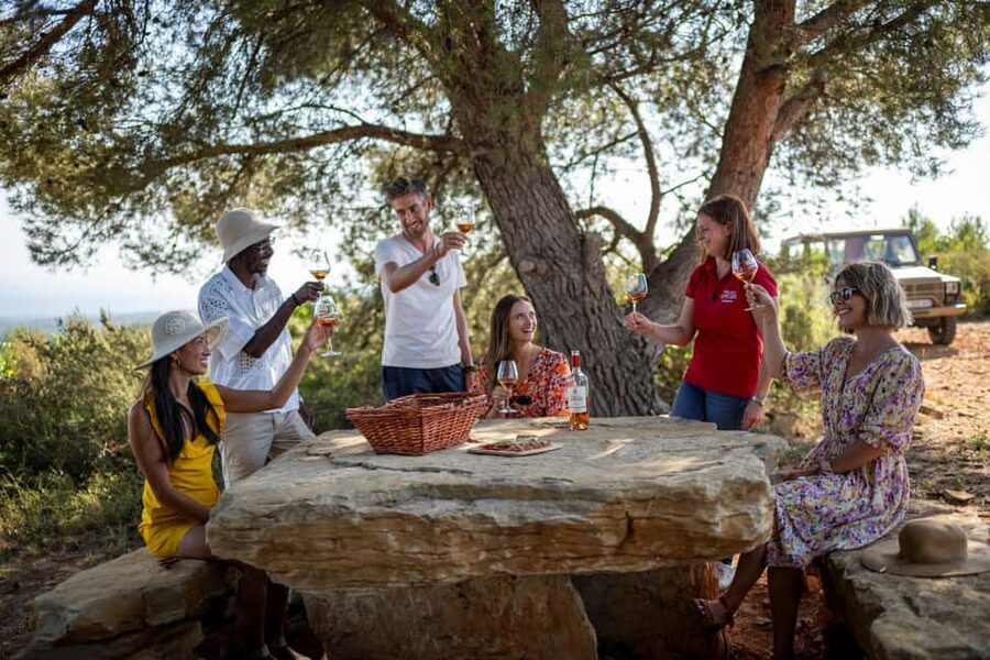 From Nice: Provence Wine Full-Day Tour - Stop 1: Cru Classé château cellars and the mini tasting masterclass