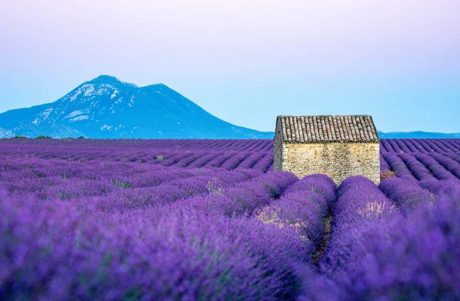 From Nice: Verdon Gorges & Lavender Fields Tour & Transport - First Stop: Gorges du Loup and a 40-meter waterfall moment
