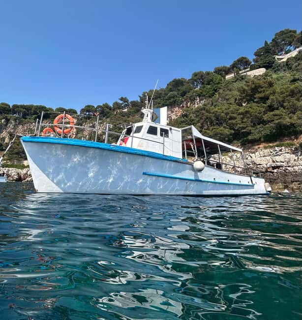 From Nice: Villefranche Bay Swimming & Snorkeling Boat Tour - Key highlights at a glance