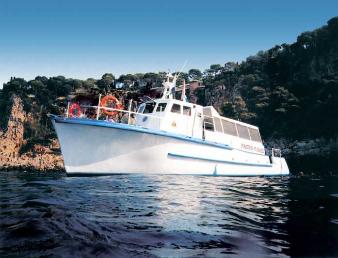 From Nice: Villefranche Bay Swimming & Snorkeling Boat Tour - The cruise along the French Riviera, what to watch for