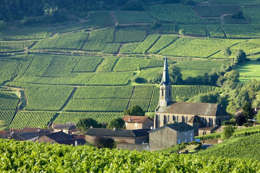 From Paris: Burgundy Region Winery Tour with Tastings - Should you book the Burgundy Region Winery Tour with Tastings?