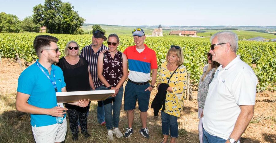 From Paris: Burgundy Region Winery Tour with Tastings - Chablis town time: lunch on your terms, not a forced group meal