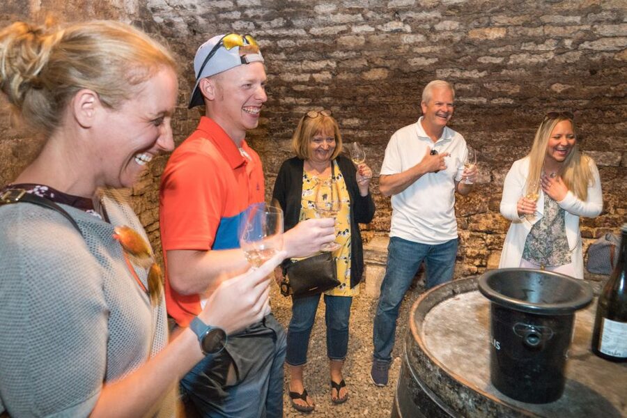From Paris: Burgundy Region Winery Tour with Tastings - Price and value: is $277 fair for 12 hours of tastings?