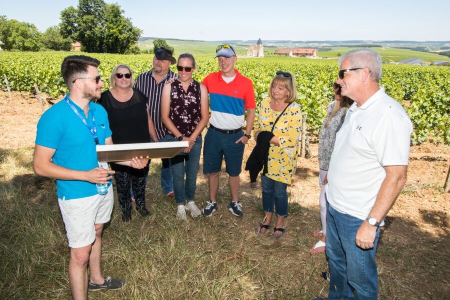 From Paris: Burgundy Region Winery Tour with Tastings - Domaine Jean-Marc Brocard and the Chablis tasting ladder