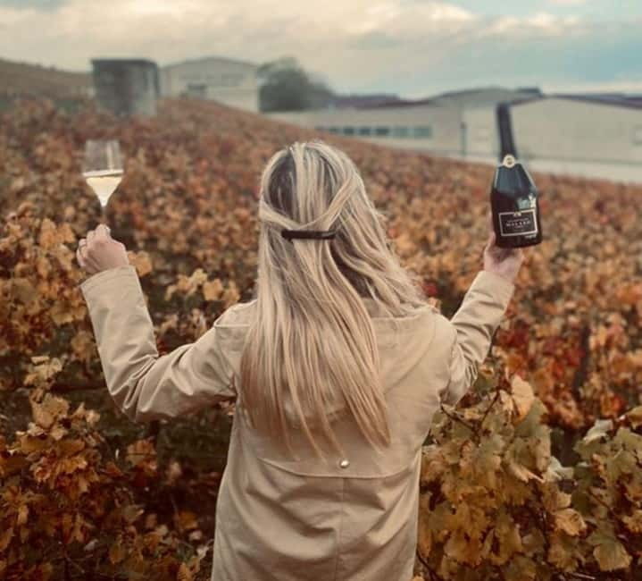 From Paris: Champagne Day Trip with 7 Tastings and Lunch - Who this Champagne day trip is best for