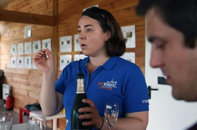 From Paris: Champagne Day Trip with 7 Tastings and Lunch - The family-owned estate visit, small-batch tasting lessons