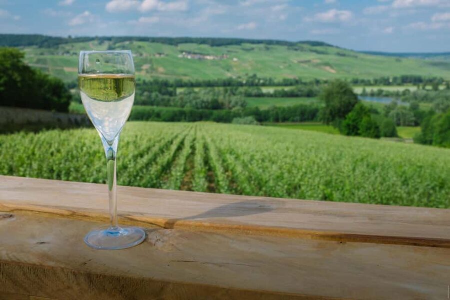 From Paris: Champagne Day Trip with 7 Tastings and Lunch - Your guide makes the difference, and it really shows