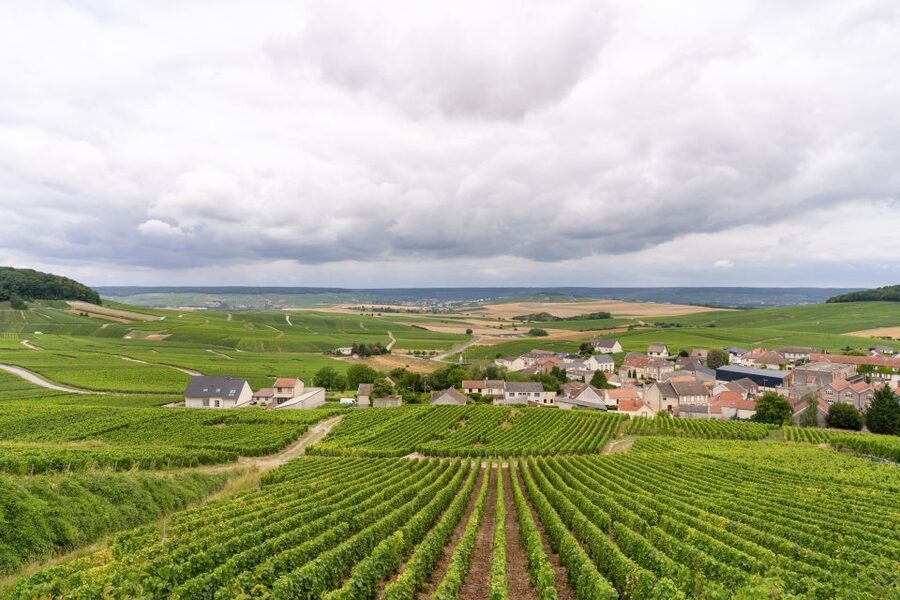 From Paris: Day Trip to Champagne with 8 Tastings & Lunch - Should you book this Champagne day trip from Paris?