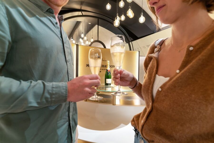 From Paris: Day Trip to Champagne with 8 Tastings & Lunch - Vineyard-side tasting: learning terroir while the scenery moves
