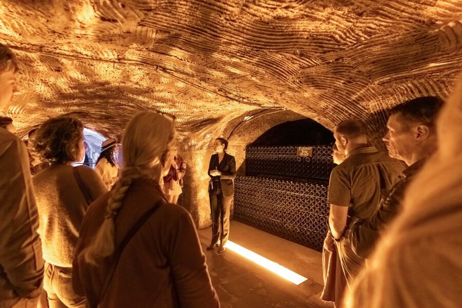 From Paris: Day Trip to Champagne with 8 Tastings & Lunch - Timing, comfort, and who this tour suits best