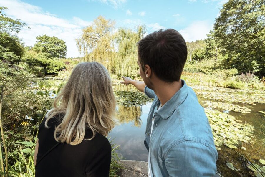 From Paris: Day Trip to Giverny & Versailles with Lunch - Price and Value: What $234 Covers (and Why It Can Be Worth It)