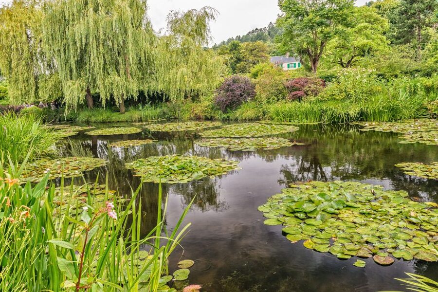 From Paris: Guided Day Trip to Monet's Garden in Giverny - From Paris to Giverny: Minibus ride, meeting spot, and how the day flows