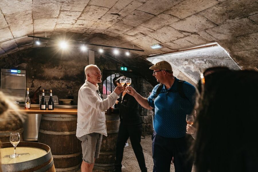From Paris: Loire Valley Castles Day Trip With Wine Tasting - Comfort, Timing, and What to Pack for a Smooth Day