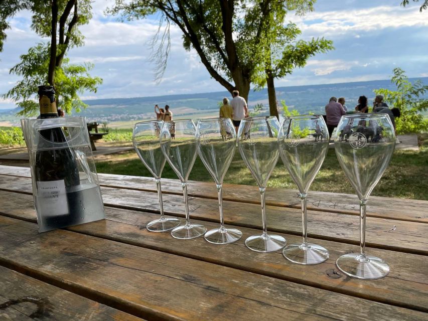 From Paris: Reims and Champagne Tasting Full-Day Tour - Épernay Champagne House Tours, Big Name to Small Estate