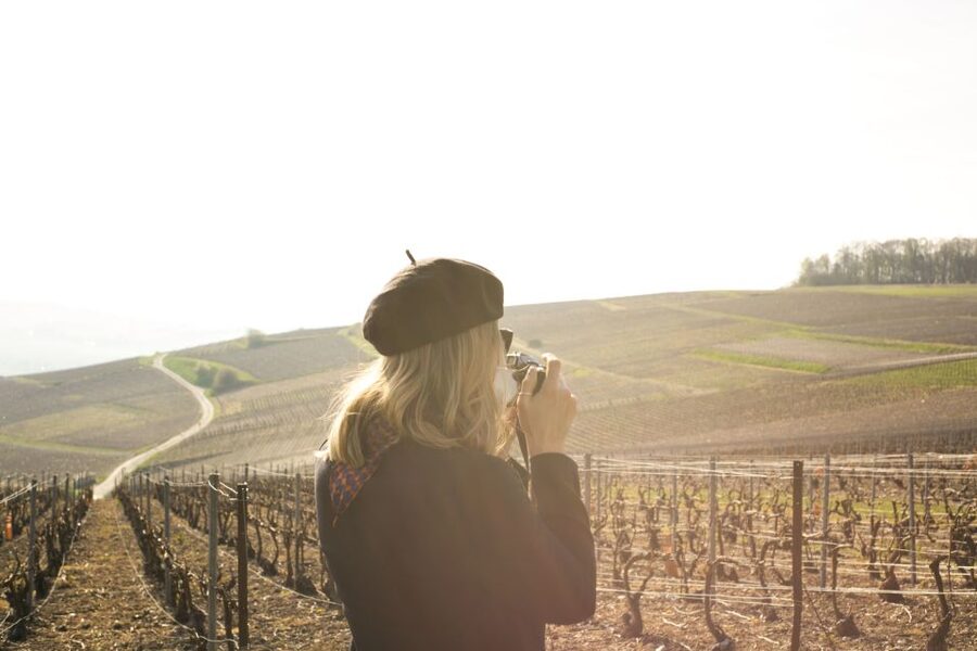 From Paris: Reims and Champagne Tasting Full-Day Tour - The Second Champagne House, Plus Optional Bonus Moments