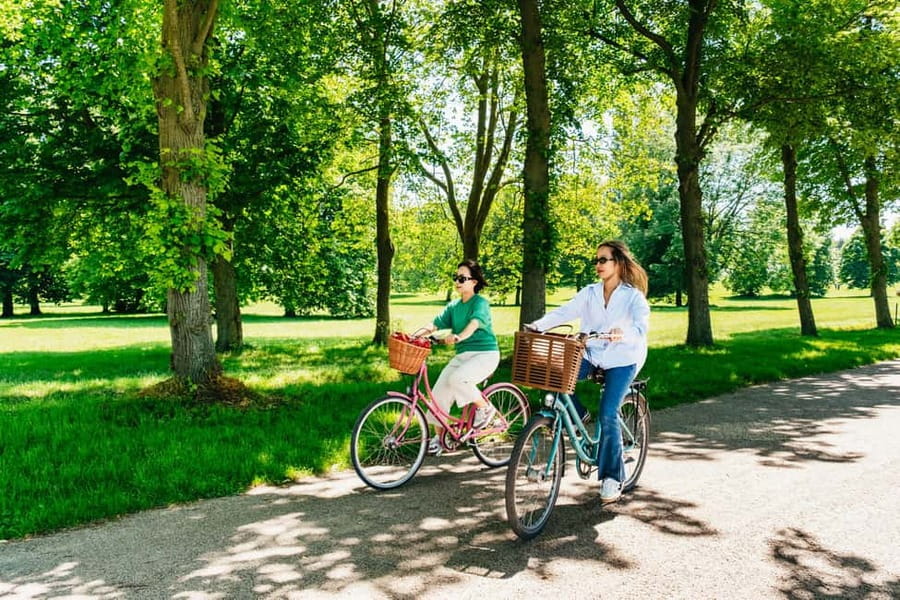 From Paris: Skip-the-Line Palace of Versailles Bike Tour - Skip-the-Line Access: What It Buys You at the Palace