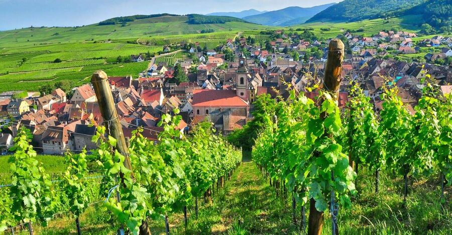 From Paris: Small-Group Champagne Day Trip with Six Tastings - Key Points You Should Know Before You Go