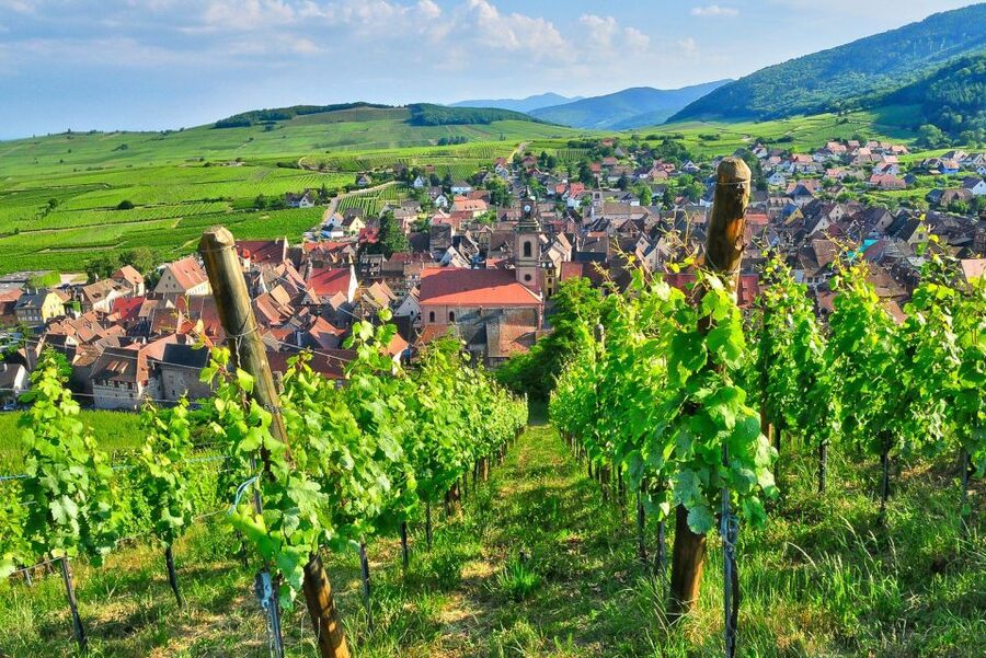 From Paris: Small-Group Champagne Day Trip with Six Tastings - Épernay Lunch Break: One Hour to Refuel in the Center of It All