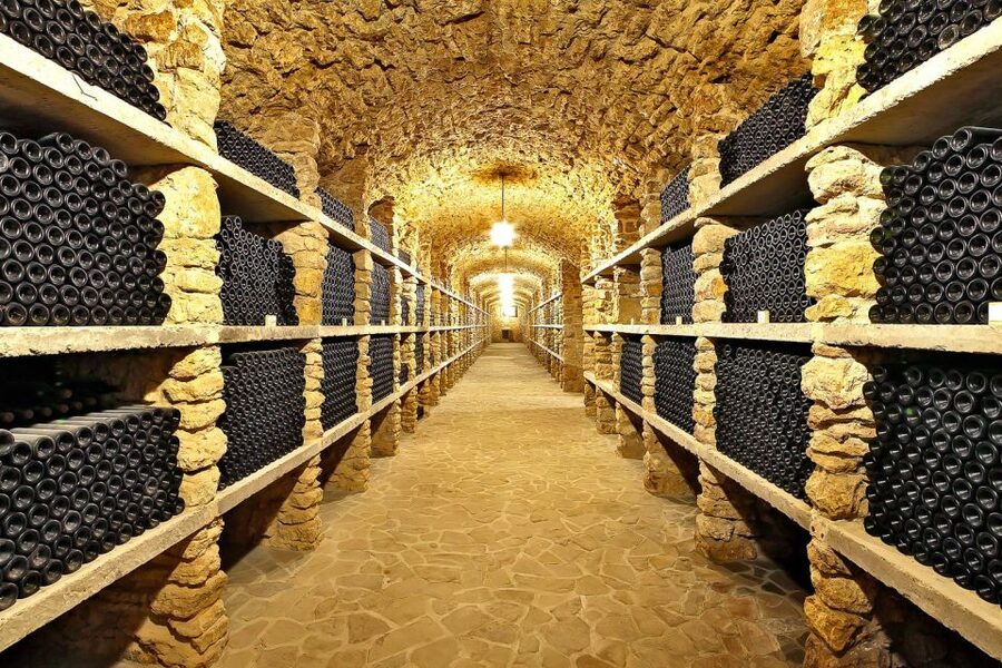 From Paris: Small-Group Champagne Day Trip with Six Tastings - Learning to Taste: What the Six Glasses Actually Teach You