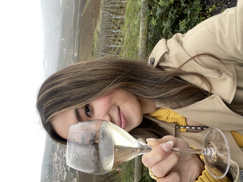 From Paris: Small-Group Champagne Tour with 3-Course Lunch - Second Tasting at Another Producer: Big House vs. Smaller Estate