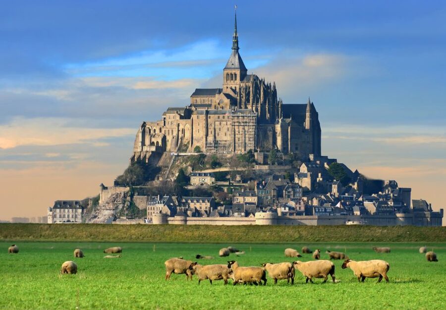 From Paris: Small-Group Mont St Michel Tour & Cider Tasting - Value and pricing: what $259 gets you on this kind of day