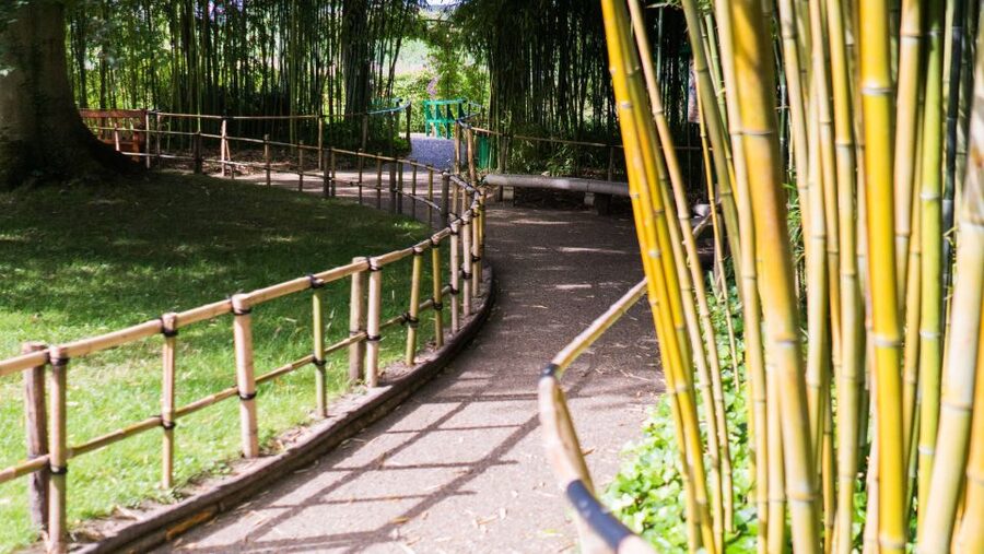 From Paris: Versailles and Giverny Full-Day Trip - Time-Smart Tip: Monet’s House First