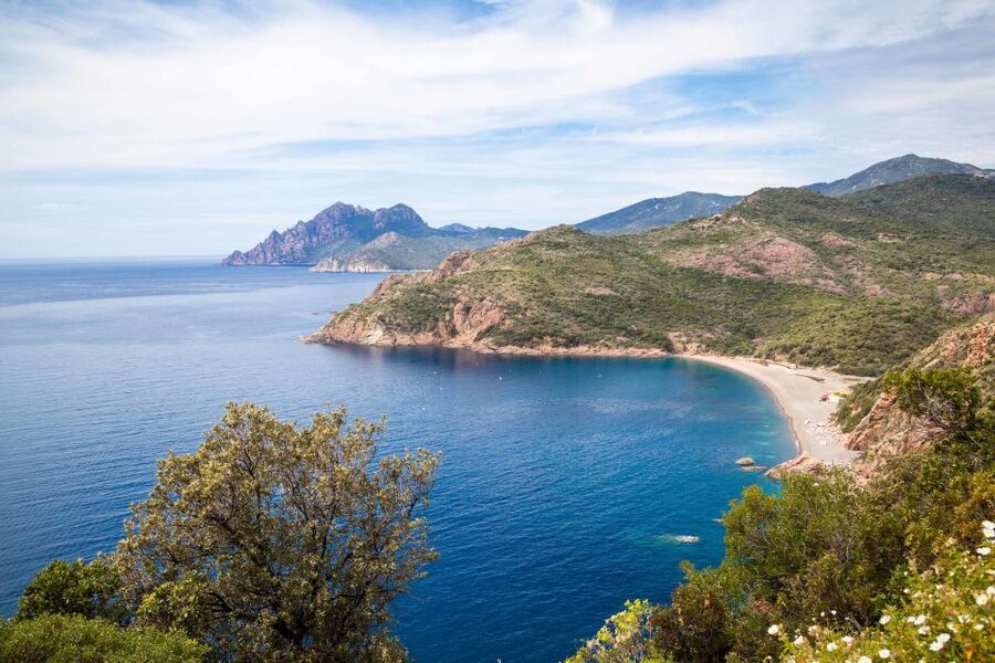 From Porto: Boat tour to the Calanches of Piana & Capo Rosso - Key highlights you’ll care about