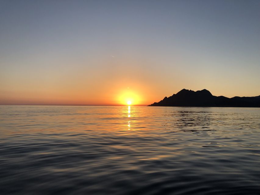 From Porto: Piana Creeks and Scandola Semi-Rigid Boat Tour - Key things to know before you go