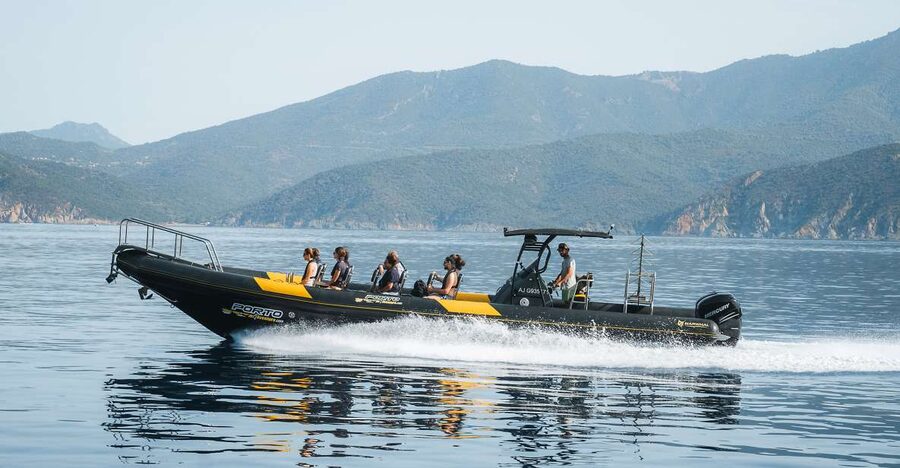 From Porto: Piana Creeks and Scandola Semi-Rigid Boat Tour - Scandola Nature Reserve: seeing the protected coast the right way