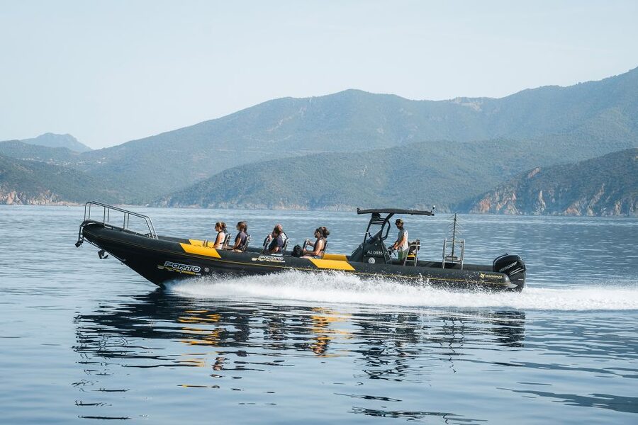 From Porto: Piana Creeks and Scandola Semi-Rigid Boat Tour - Timing at Girolata and how the sea changes your experience