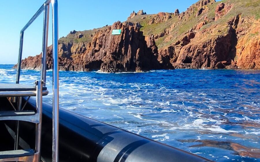 From Porto: Piana Creeks and Scandola Semi-Rigid Boat Tour - Price and value: what $94 buys you, and what it does not